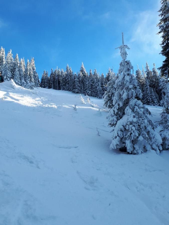 Дома для отпуска Cabana Maly Петрошани-31